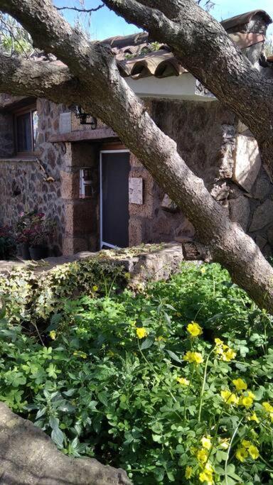 Rural House To Take A Break, La Serreria 25 - Private Garden Tacoronte Exterior photo