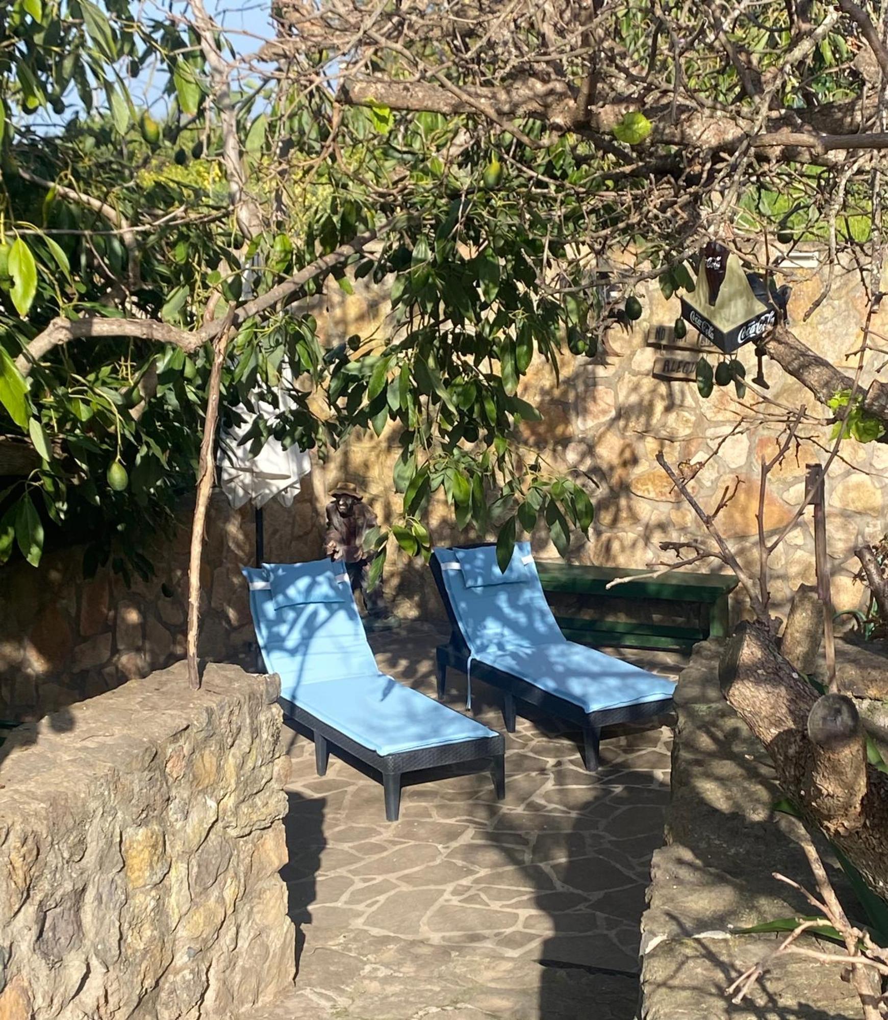 Rural House To Take A Break, La Serreria 25 - Private Garden Tacoronte Exterior photo